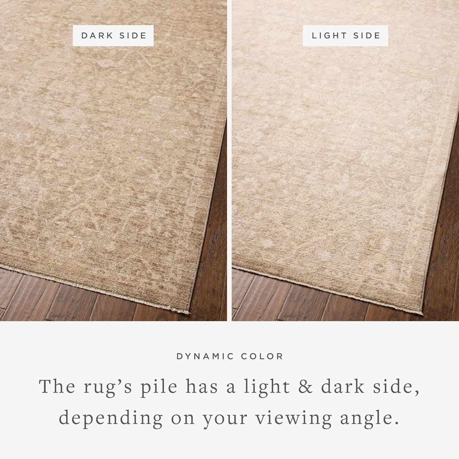 Loloi Chris Loves Julia Palma Bark/Natural 5'-3" X 7'-6" Area Rug | PLM-01 Approx. 5X7 Brown Living Room Dining Room Bedroom, Vintage Inspired, Contemporary, Traditional, Timeless, Area Rug