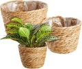 Seagrass Indoor Planter Set with Plastic Lining, 3 Small Woven Wicker Baskets for Plants, Flower (3 Sizes)
