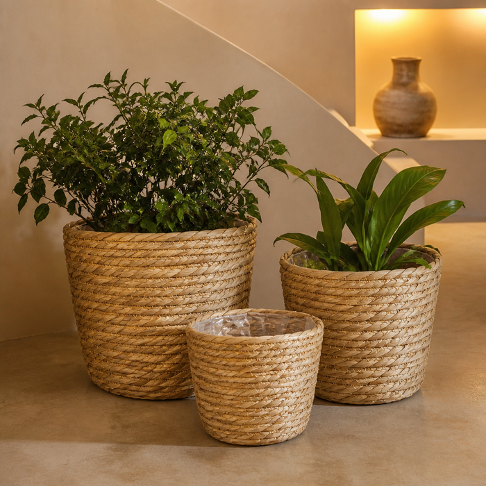 Seagrass Rattan Planter lifestyle view 1